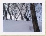 23-03-05-Andy&Nay-AikoSnowboarding-Japan 256 * Nay taking on the trees and winning. * 2048 x 1536 * (700KB)